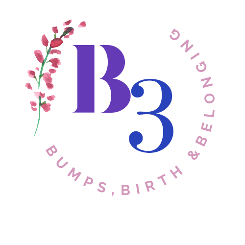 B3-Bumps Birth and Belonging CIC